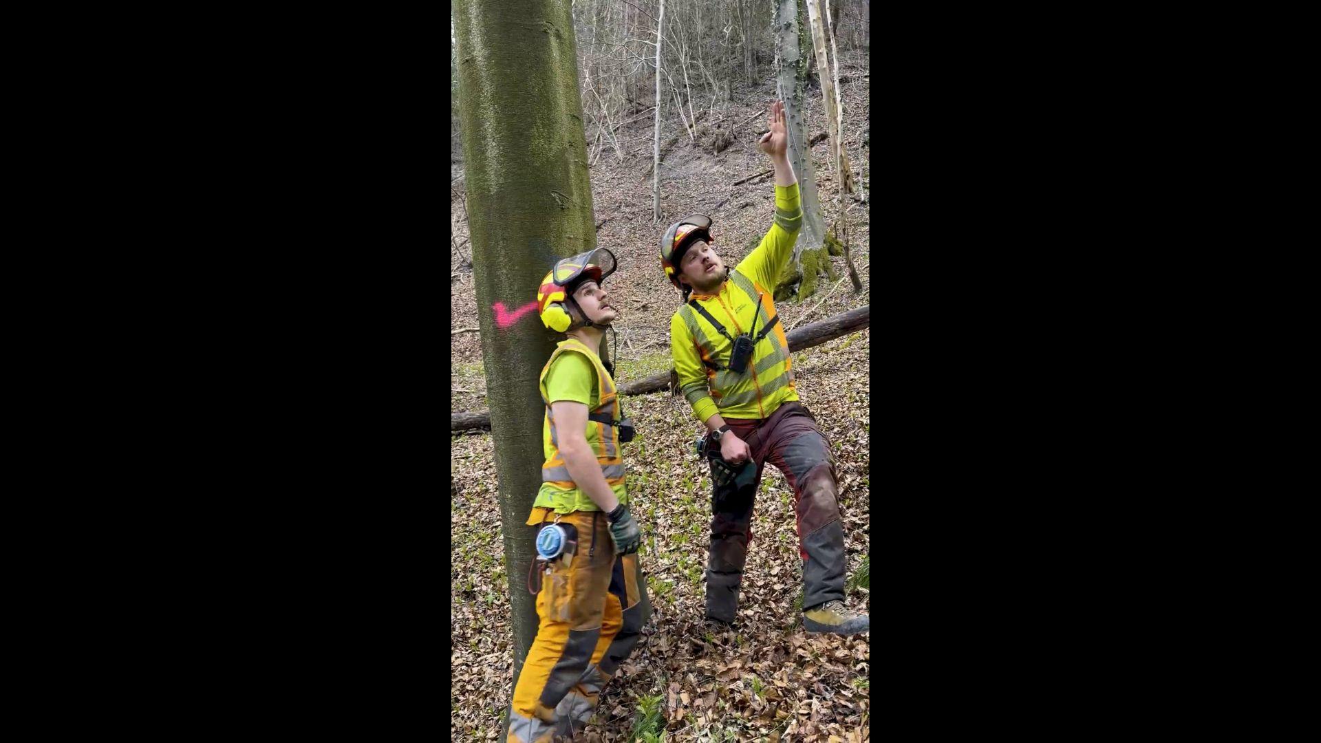 Zwei Männer stehen im Wald. Beide tragen helle Sicherheitsbekleidung sowie einen Helm.
