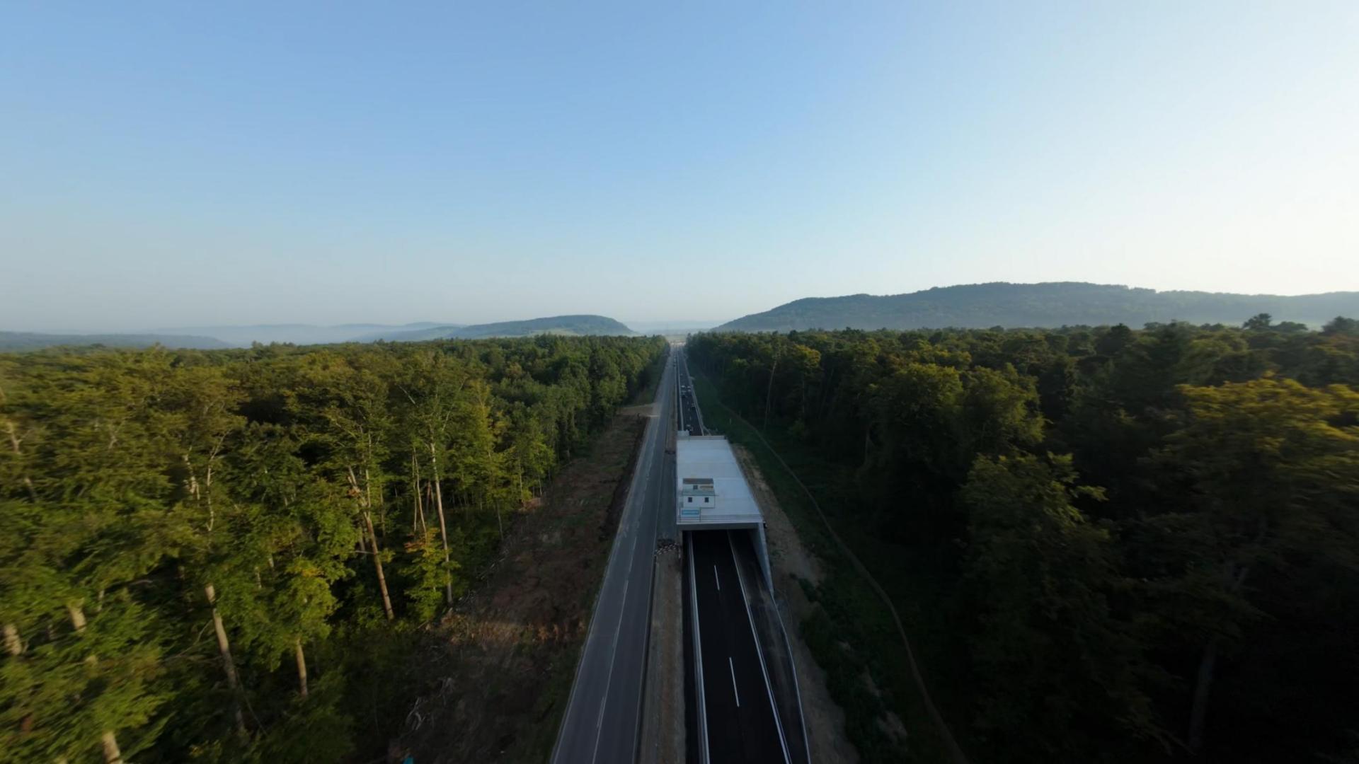 Strasse mit einem aufgesetzten Tunnel mitten in einem Wald